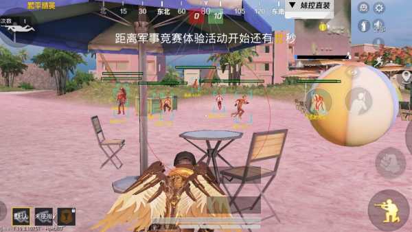 突破游戏界限：探索和平精英辅助工具的神秘世